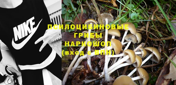 гашишное масло Михайлов